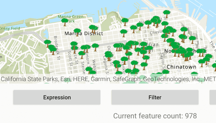 Image of Filter by definition expression or display filter