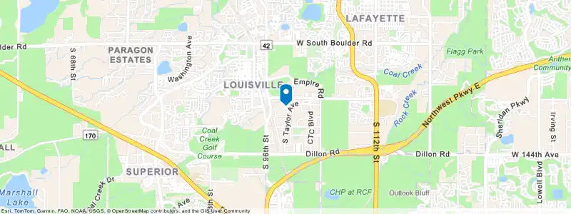Static map response showing the location of Esri Denver regional office in 167 S Taylor Ave, Louisville. The map uses the ArcGIS Streets basemap style and has a blue pin symbol at the center.