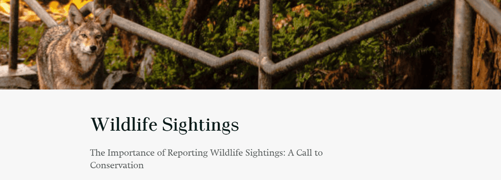 Wildlife sightings survey