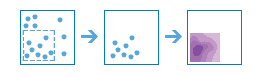 Calculate density image