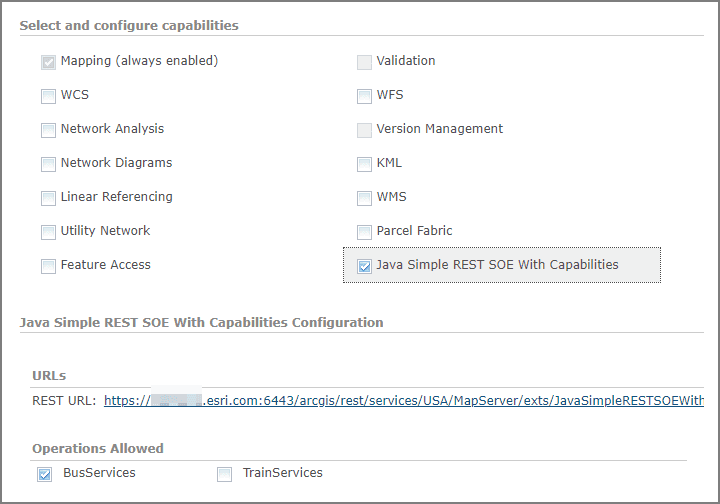 JavaCapabilities0