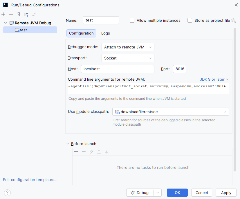 debugIntelliJSettings