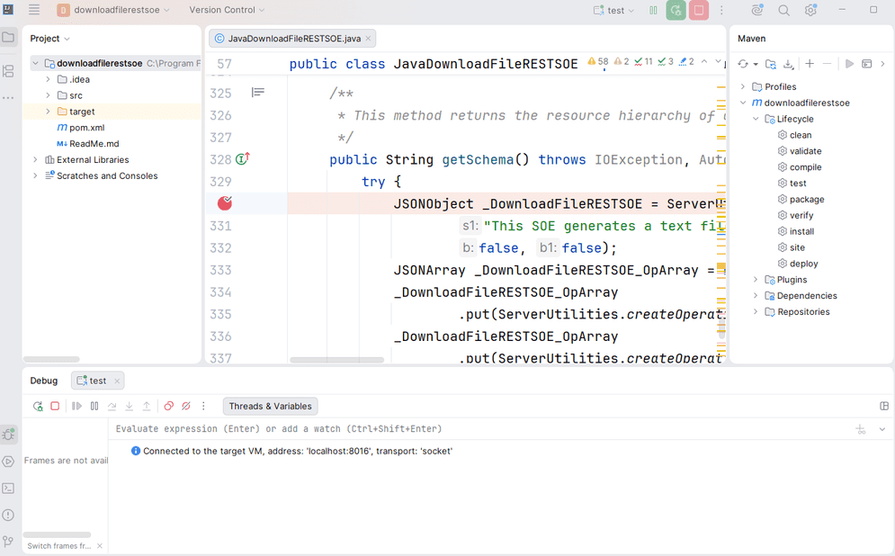 debugIntelliJ