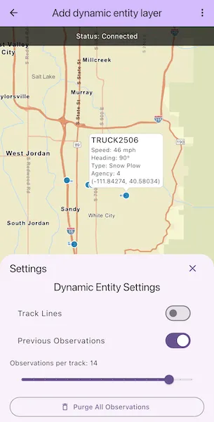 Image of add dynamic entity layer