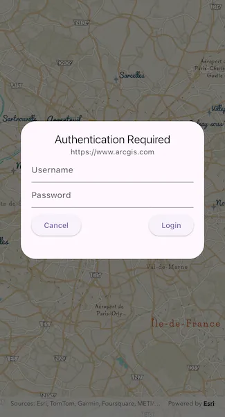 Image of authenticate with token
