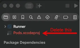 Delete the Pods project from the workspace