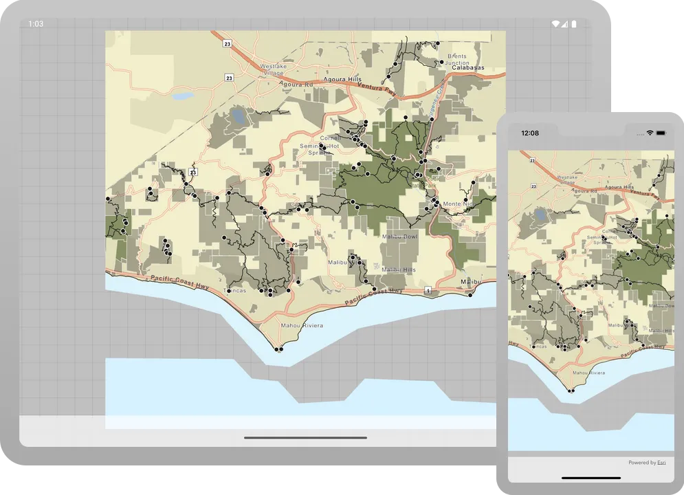 display a map from a mobile map package
