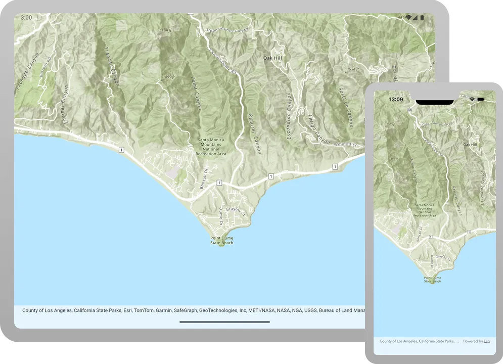 display a map