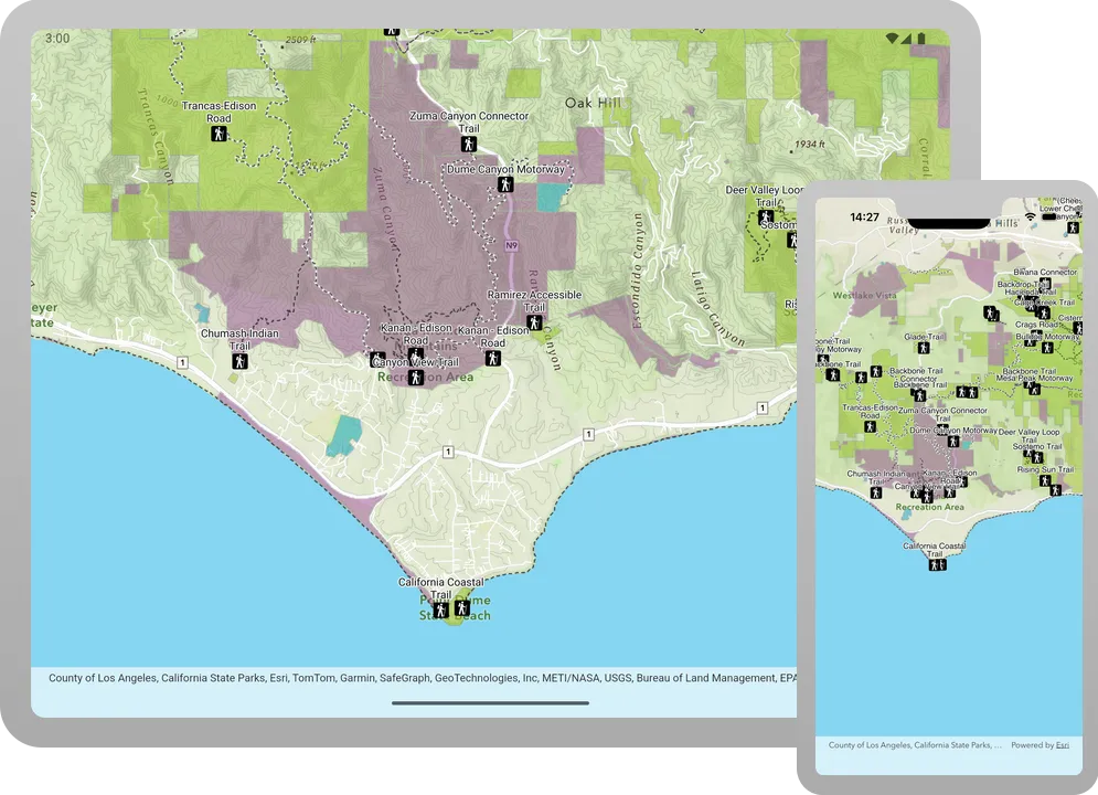 display a web map