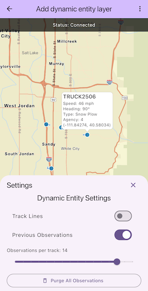 Image of add dynamic entity layer