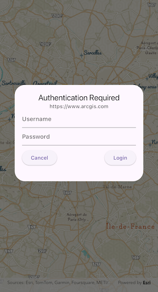 Image of authenticate with token
