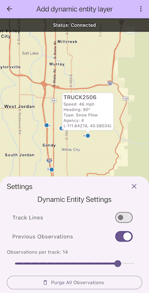 Image of add dynamic entity layer