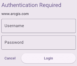 Authenticator login UI to ask for user credentials