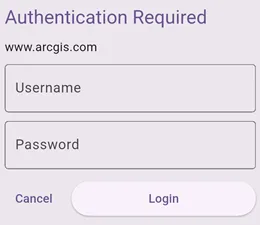 Authenticator login UI to ask for user credentials
