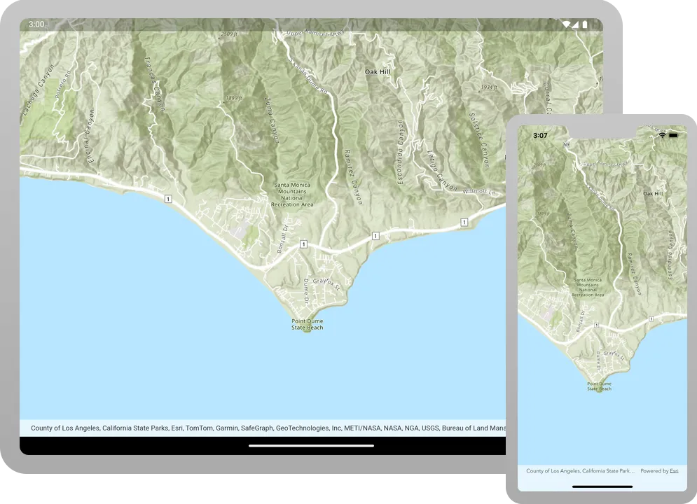 display a map