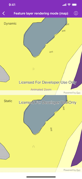 Feature layer rendering mode (map) sample