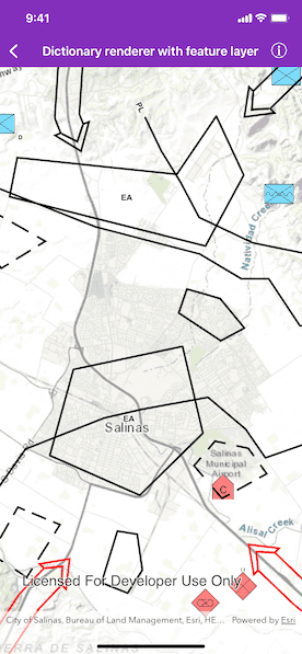 Dictionary renderer with feature layer