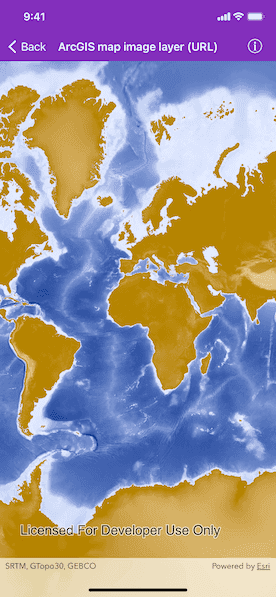 ArcGIS map image layer (URL) sample