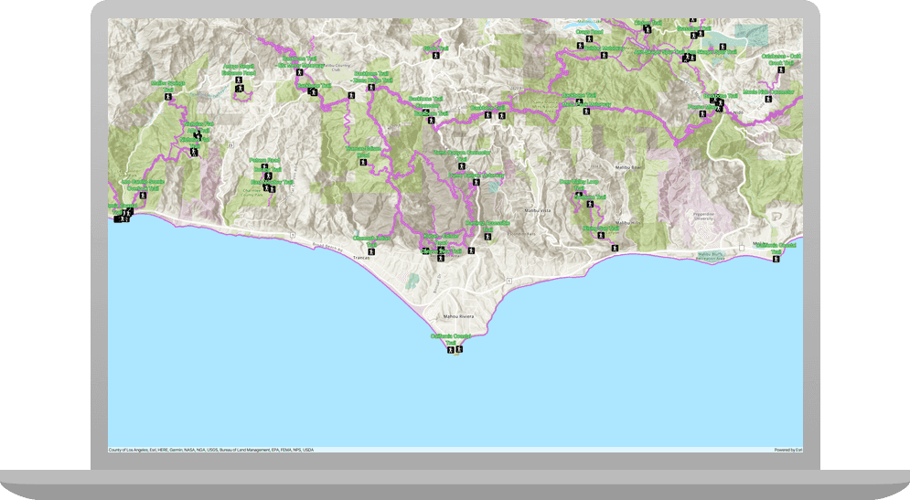 display a web map