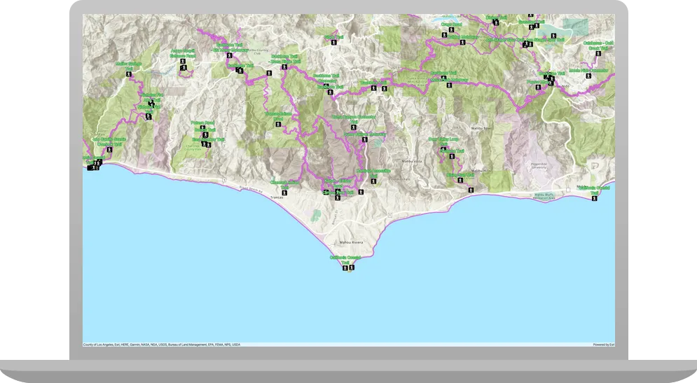 display a web map