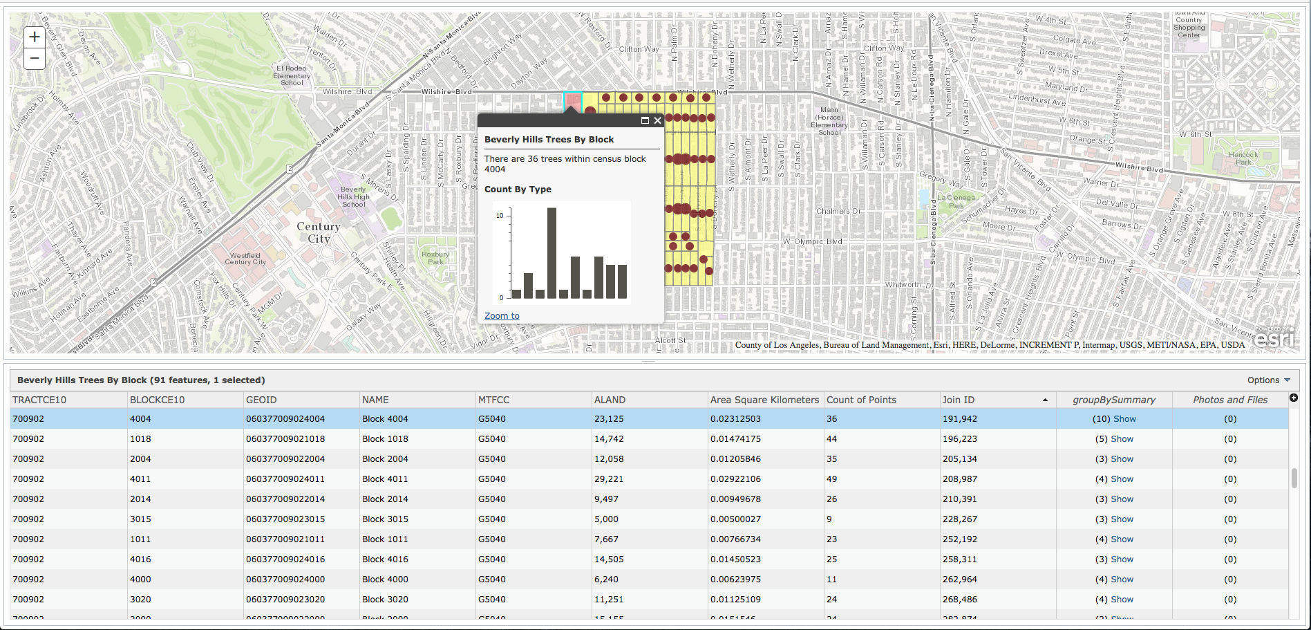 arcgis javascript api