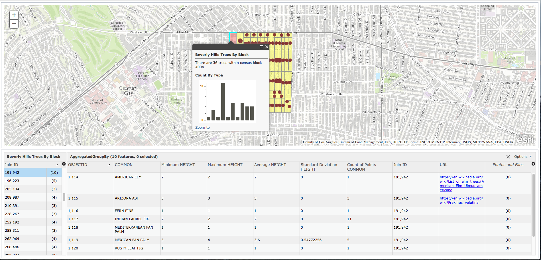 arcgis javascript api