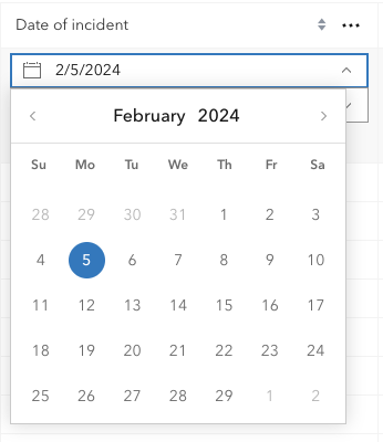 4.29 DateTime input in FeatureTable