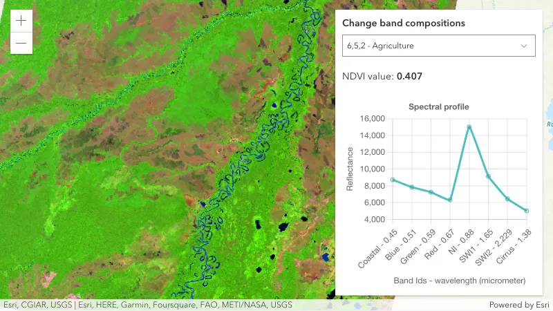 COG imagery tile layer