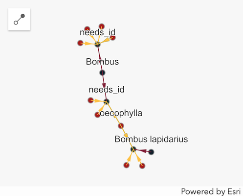 link chart component