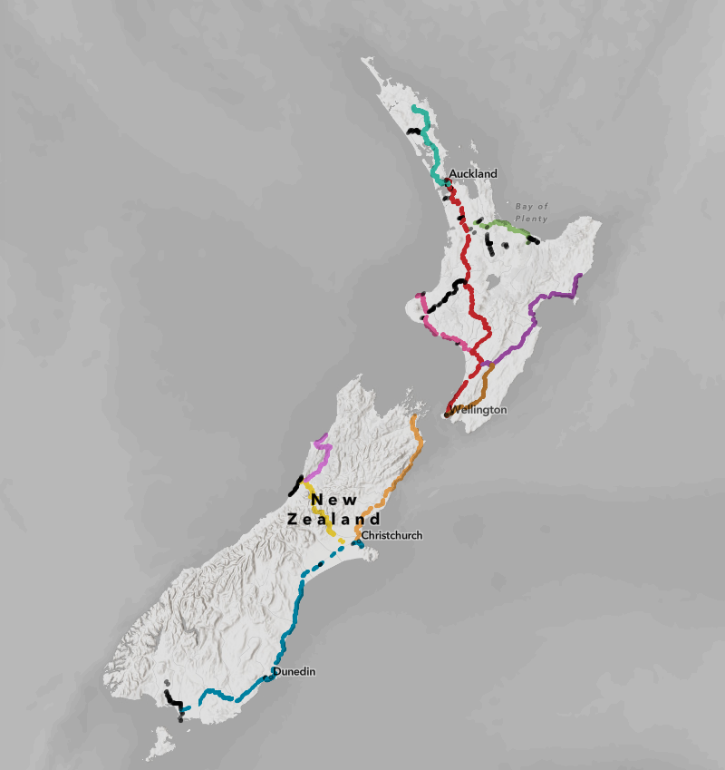 Polyline layer with binning disabled