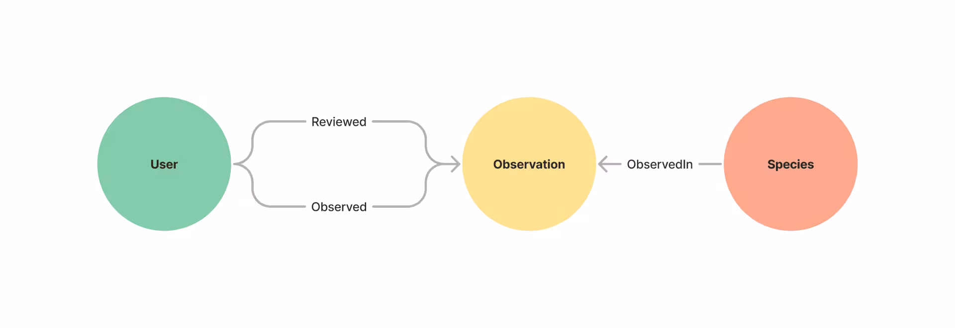 sample-data-model