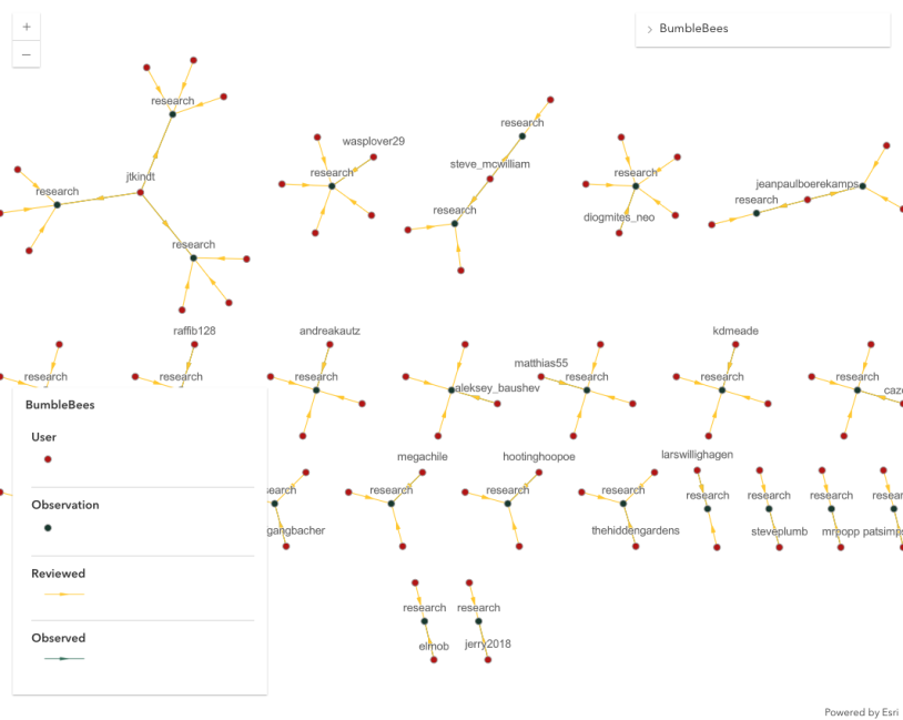 Thumbnail for Create a LinkChart