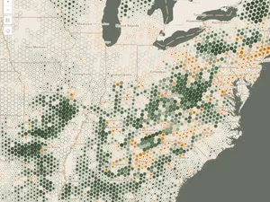 Thumbnail for Create a reference size visualization