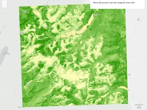 Thumbnail for ImageryTileLayer - raster function