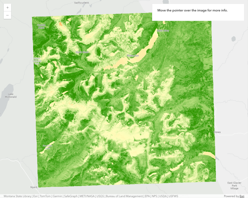 Thumbnail for ImageryTileLayer - raster function