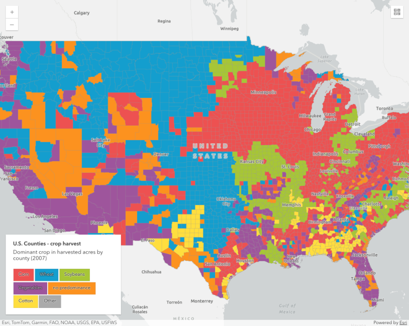 Thumbnail for Generate data-driven visualization of unique values