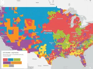 Thumbnail for Generate data-driven visualization of unique values