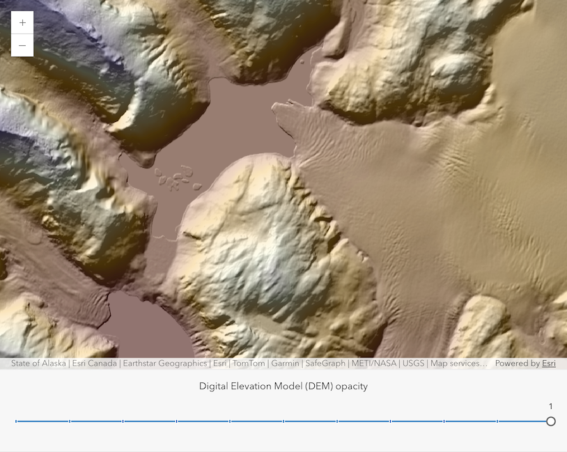 Thumbnail for MapImageLayer - raster data source