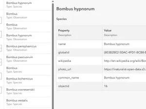 Thumbnail for Search Knowledge Graphs