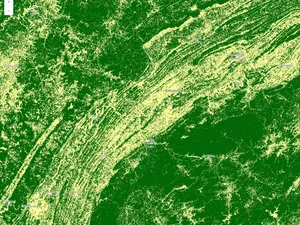 Thumbnail for ImageryLayer - raster function