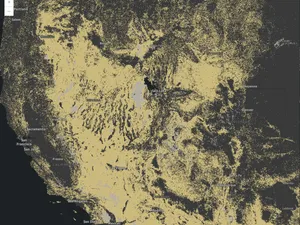 Thumbnail for ImageryLayer - raster attribute table