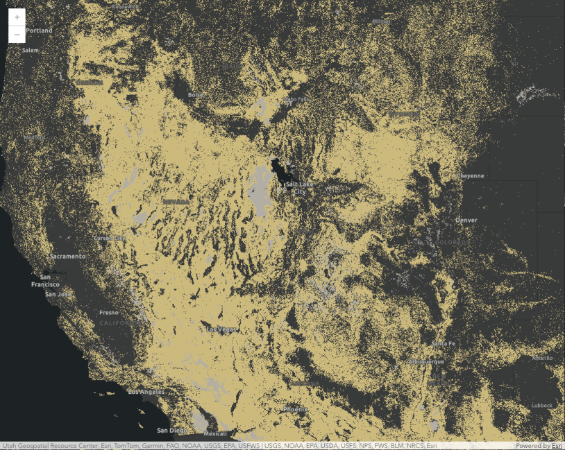 Thumbnail for ImageryLayer - raster attribute table