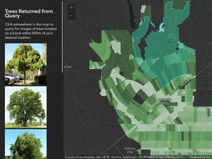 Thumbnail for Query Attachments