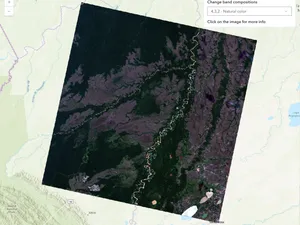 Thumbnail for ImageryTileLayer with COG