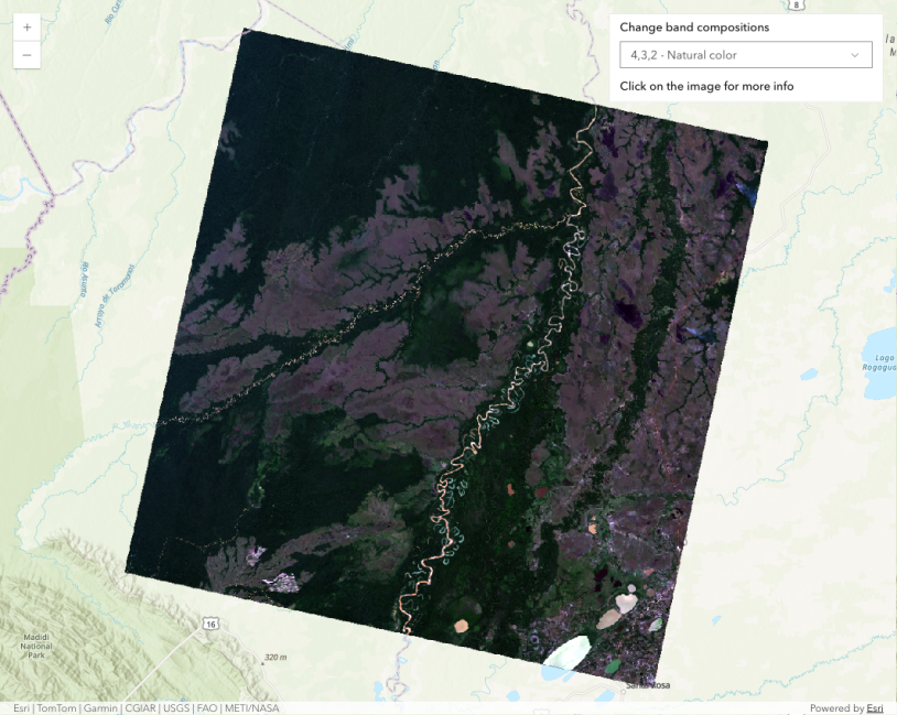 Thumbnail for ImageryTileLayer with COG