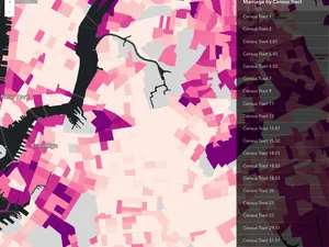 Thumbnail for Query features from a FeatureLayerView