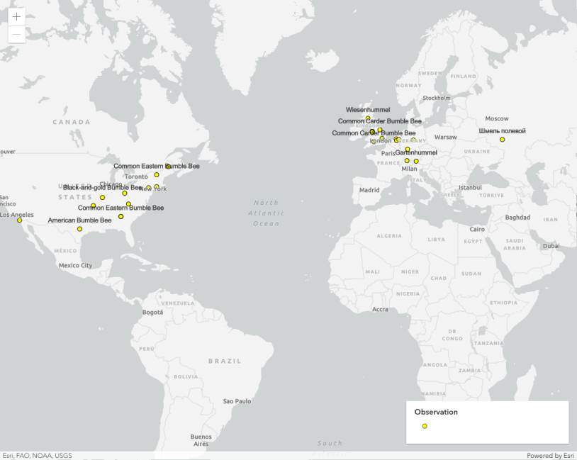 Thumbnail for Working with KnowledgeGraphLayer