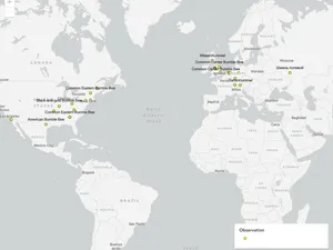 Thumbnail for Working with KnowledgeGraphLayer