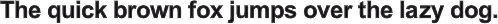 Arial Unicode MS Bold font preview