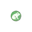 Amphibian Observations Symbol Style